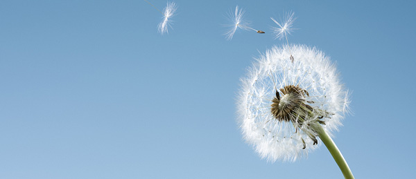 广东会vip贵宾厅(集团)官方网站